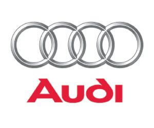 Audi Insurance Work