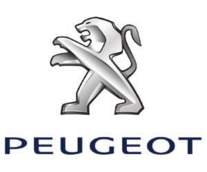 Peugeot Insurance Work