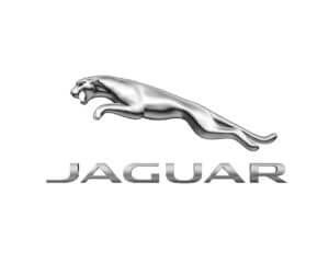Jaguar Insurance Work